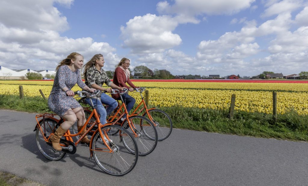 travel to garden by bus image